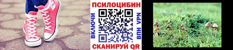 Псилоцибиновые грибы MAGIC MUSHROOMS  Купить закладки  Ивдель 